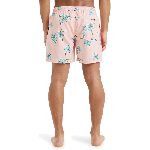 Quiksilver Ανδρικό μαγιό Everyday Straight 15" - Swim Shorts
